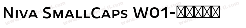 Niva SmallCaps W01字体转换